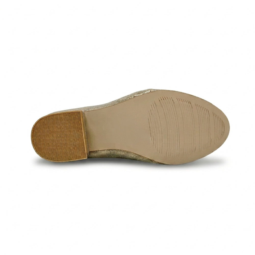 Zapato De vestir Para Dama Karlita 1742 Plata Ab0701